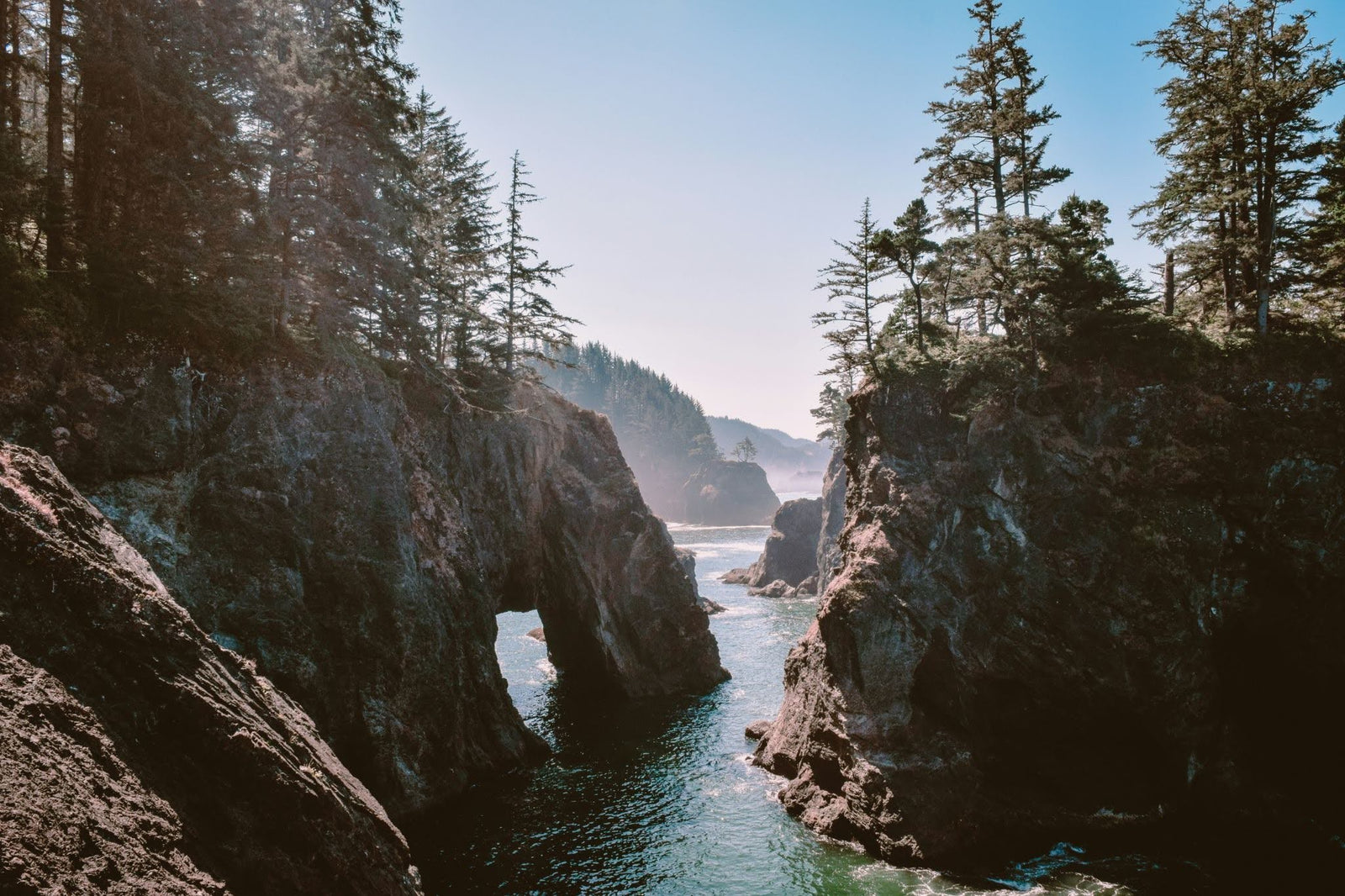 Who Does the Oregon EPR Injunction Actually Affect? (It's Not Who You Think)